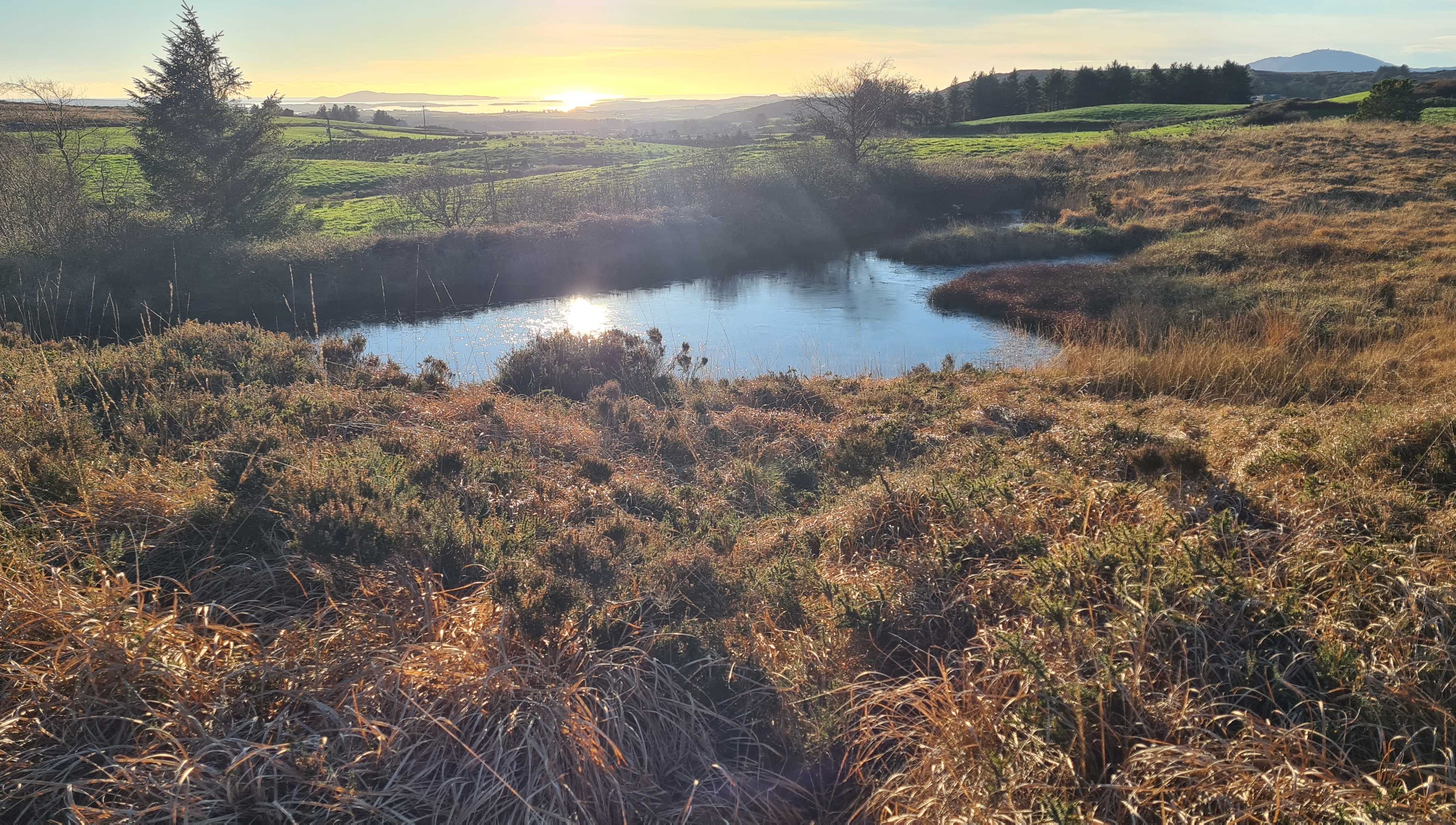 A reed-fringed lake reflecting low sun, with fields and hills beyond