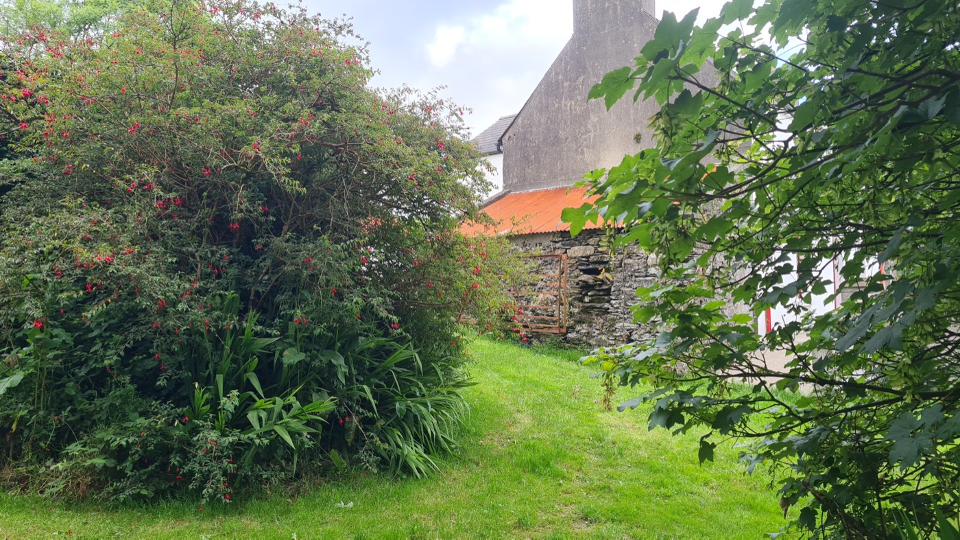 A view through trees and flowering shrubs towards the stone courtyard at Gurrane